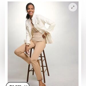 Talbots Toasted Coconut Light Beige Slim Straight “Chatham” ankle pants Size 10P